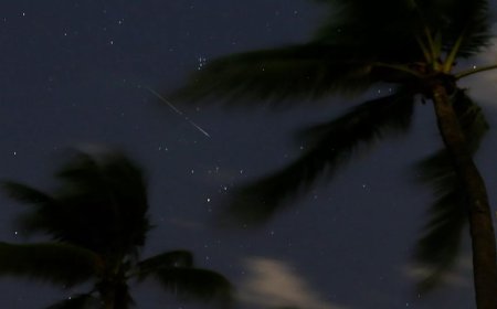 Meteor yağmuru 2025’te zirve yapacak! İşte saat ve tarih