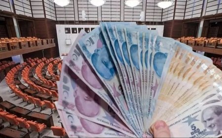 Başvuran Herkes Alacak! 6.454 TL Sosyal Destek İçin Başvurular Açıldı